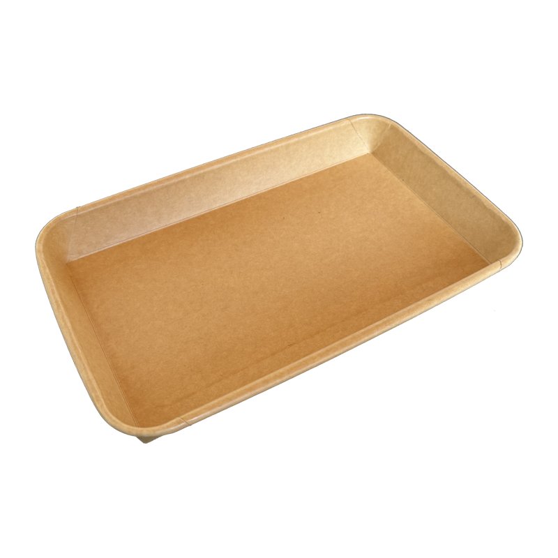 Bio Sushi Tray Nr 6