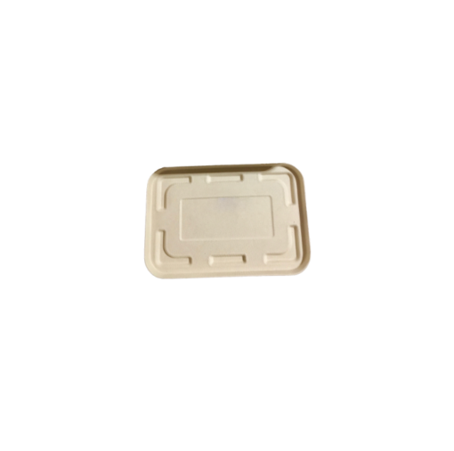 10711 Deckel fuer 850ml dreigeteilt Zuckerrohr Menu Box gastro verpackungen kompostierbar