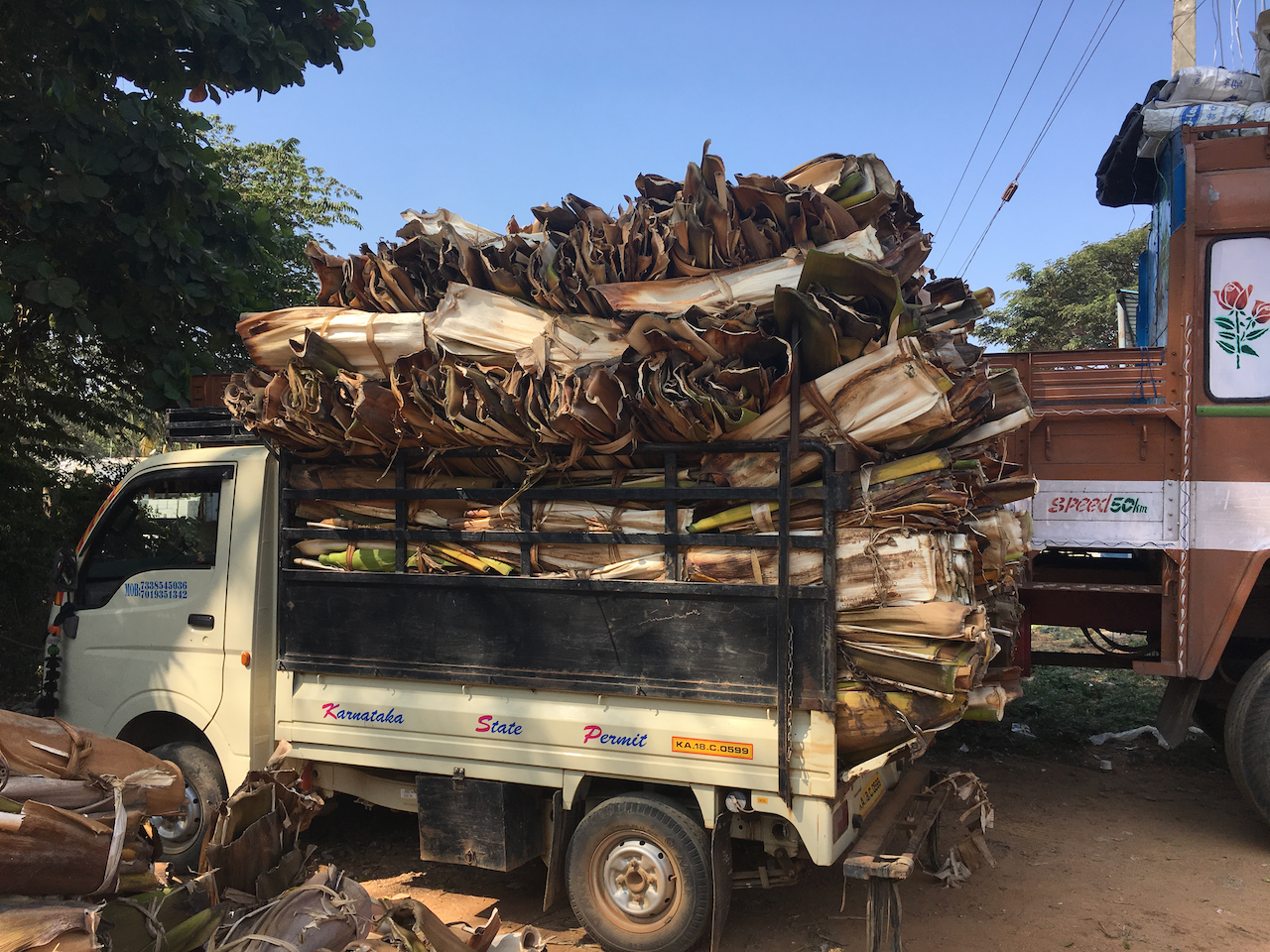 Transport von Palmblättern für nachhaltiges Einweggeschirr in Indien